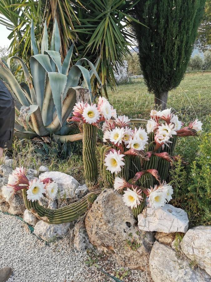 Villa Dei Romani - Country House Guidonia Dış mekan fotoğraf
