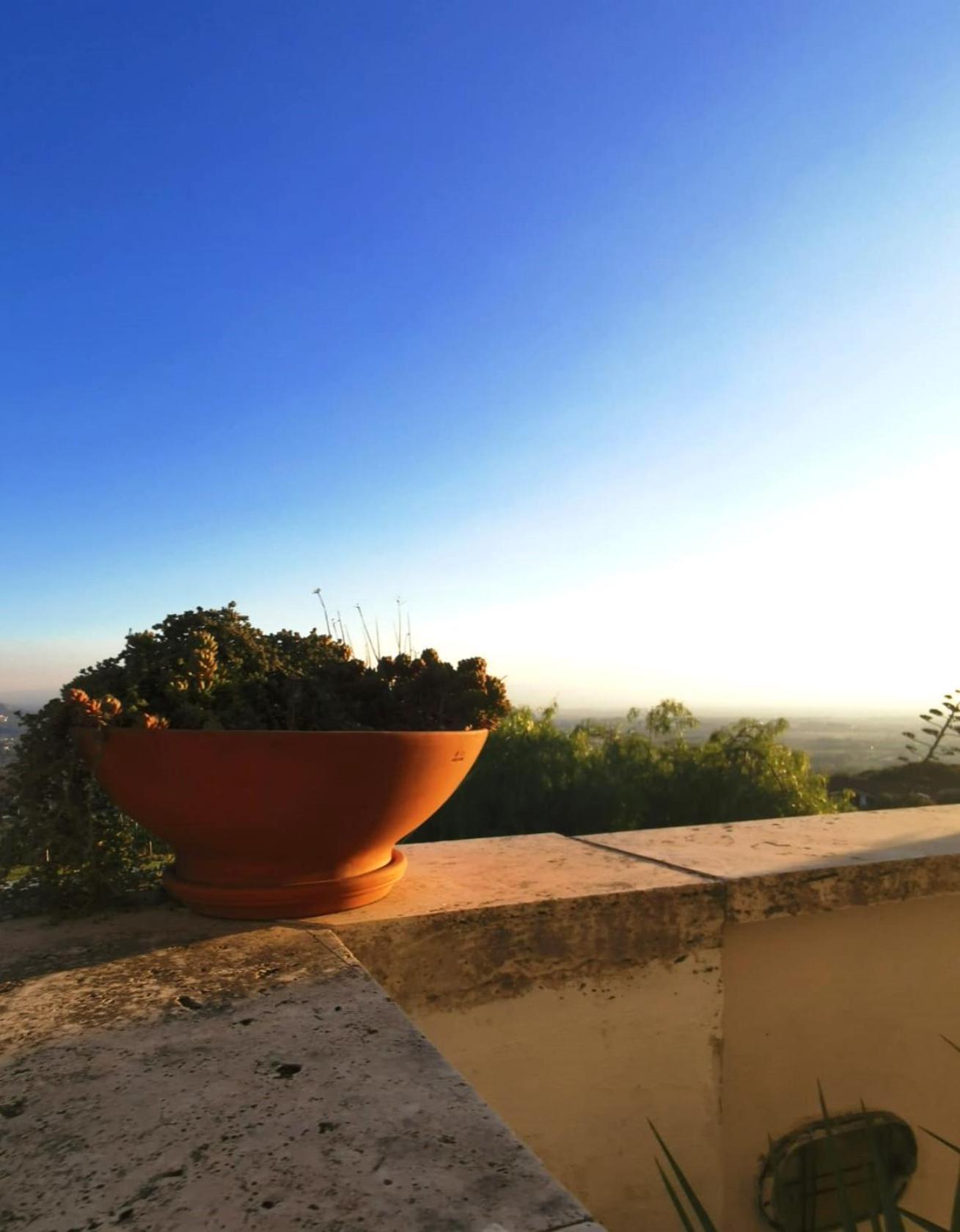 Villa Dei Romani - Country House Guidonia Dış mekan fotoğraf
