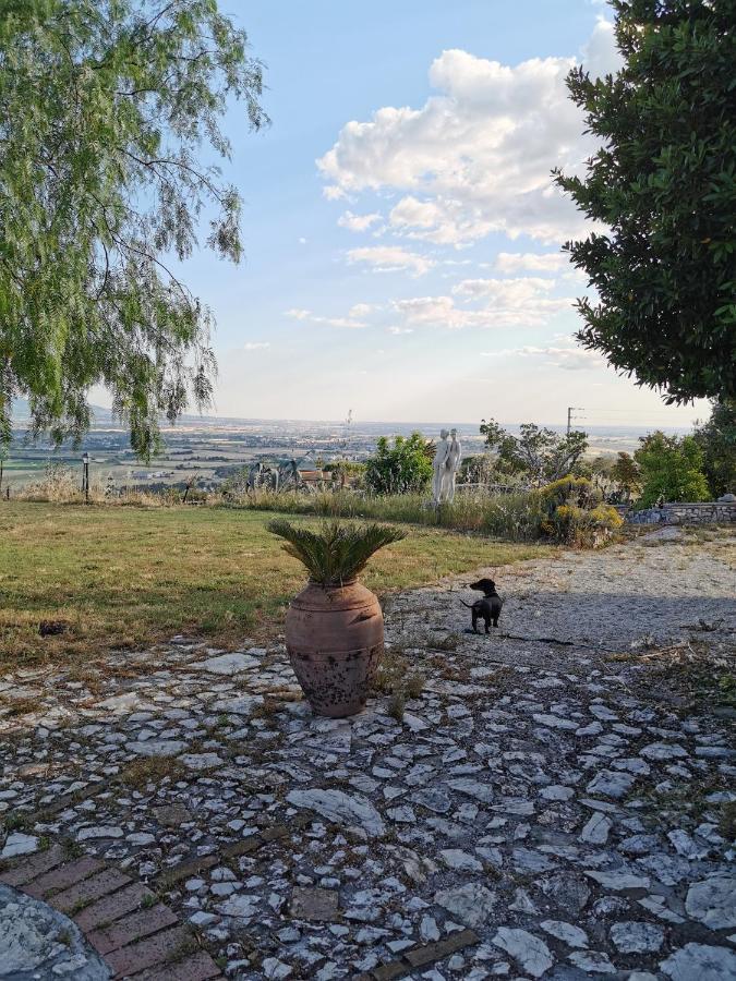 Villa Dei Romani - Country House Guidonia Dış mekan fotoğraf
